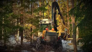 Sampo-Rosenlew 1046 järeämpää harvennusta, osa 2/2.🌳🌲🌳