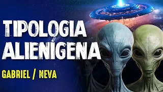TIPOLOGIA CÓSMICA ALIENÍGENA - NEVA - Paranormal Experience! #291