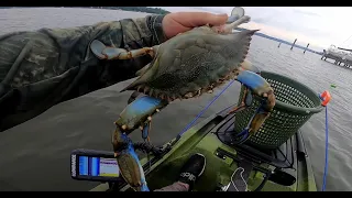 Maryland Blue Crabs . Kayak Crabbing the Chesapeake Bay. How to Handline Crabs from your Kayak .