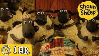 Shaun the Sheep 🐑 Timmy Puts On A Show & MORE 🎭 Full Episodes Compilation