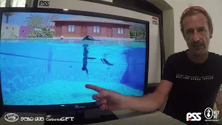 Freediving techniques: classic duck-dive.