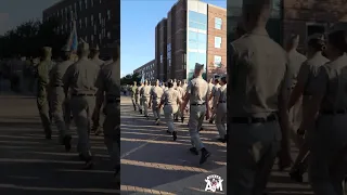 Aggie Corps & Aggie Swim and Dive