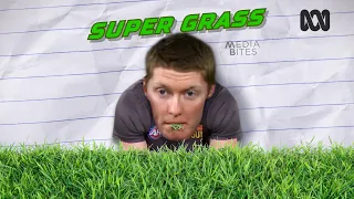 Super grass | Media Bites