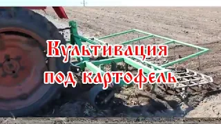 Культиватор СПЛОШНОЙ на Трактор т-25 (Культивация под картофель!!!) (2019)
