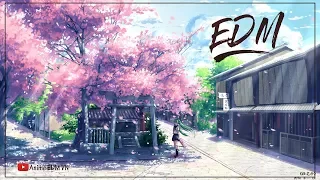 TOP 15 Bản EDM Thư Giãn, Giai Điệu Vui Tươi | Nhạc Điện Tử Gây Nghiện Hay Nhất 2018 | Anime EDM VN