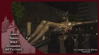 El Vía Crucis ENTRADA Córdoba 2023 Semana Santa