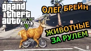 GTA 5 - ЖИВОТНЫЕ ЗА РУЛЕМ! Нарезка. Олег Брейн | Самые лучшие моменты!