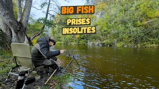 I Fish Anything And Everything On This Picturesque Spot...