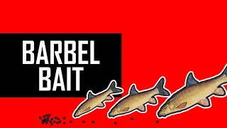 BARBEL BAIT tips and tricks