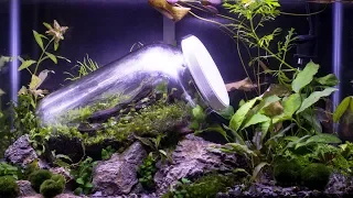 World's First Closed Terrarium in an Aquarium