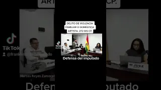 AUDIENCIA CAUTELAR POR DELITO DE VIOLENCIA FAMILIAR O DOMESTICA