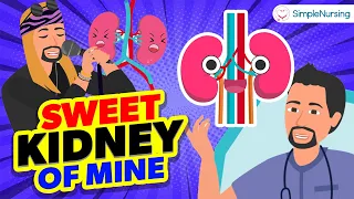 Sweet Kidney of Mine | Nurse Mike's Memory Music for Nursing Students