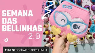 Semana das bellinhas 2.0 ( mini necessaire corujinha) Aula 1