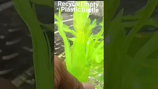 recycle plastic empty bottle d.i.y idea