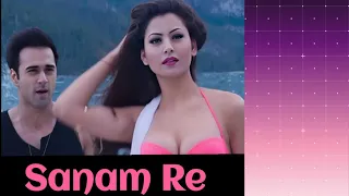 SANAM RE Title Song Lyrics | Pulkit Samrat, Yami Gautam, Urvashi Rautela | Divya Khosla Kumar#