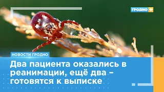 4 случая клещевых инфекций зарегистрировали с начала года