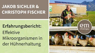Effektive Mikroorganismen in der Hühnerhaltung • Erfahrungen von Jakob Sichler