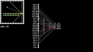 Visualizing the NEAT Algorithm - 2. How the AI Works, Inputs and the Neural Network