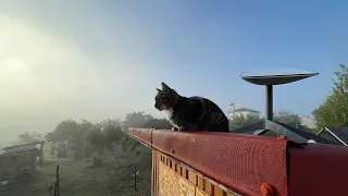 Installing Starlink (Satellite Internet) Off-Grid in Portugal