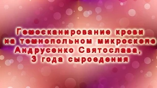 Гемосканирование крови на темнопольном микроскопе Андрусенко Святослава, 3 года сыроедения