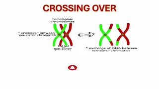 CROSSING OVER -GENETICS