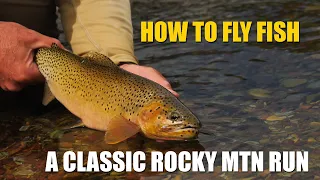 How to Fly Fish A Classic Rocky Mountain Run