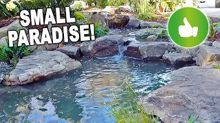 Creating a PARADISE *POND* in your backyard - REVEAL