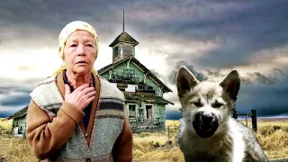A lonely old woman saved a tormented wolf cub from death! But after a while the wolf repaid in full!