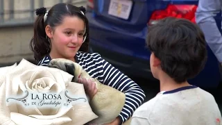 ¡Efren adopta a Amelia! | Como olvidarte | La Rosa de Guadalupe