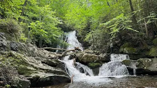 Tremont trail #asmr #nature #viral #water #waterfall #subscribe #waterbody #zen