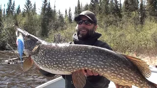 White River Air Fly Fishing for Pike