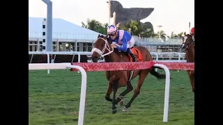 Gulfstream Park Carrera 11 (The 22nd Running of The Sweetest Chant) - 3 de febrero  2019