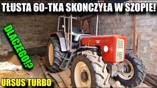 TŁUSTA 60-TKA Skończyła w Szopie!!! DLACZEGO? URSUS c360 turbo!