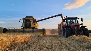 Back At Home Harvesting Barley