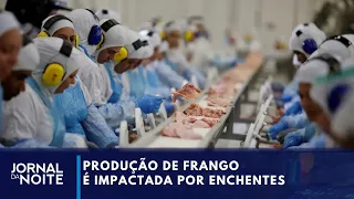 Setor de aves é afetado com cheias, mas frango não deve ficar mais caro | Jornal da Noite