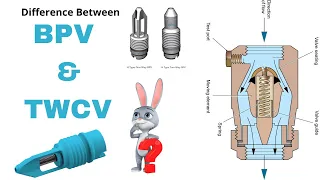 What is BPV & TWCV | Back Pressure Valve | Two way Check Valve?