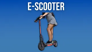 E-Scooter mit Straßenzulassung Test: Die 3 besten im Vergleich