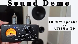 IS AIYIMA T9 Bluetooth 5.0 100W * 2 Tube Amplifier Any Good?