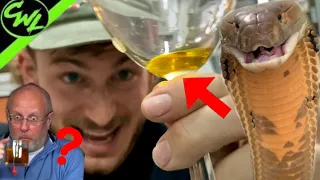 Can you Drink Snake Venom?