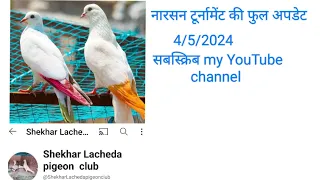 narsan turnament ki updet parvendar tejheleda fast win 🏆 #pigeonpigeon #highflyer #birds #trending