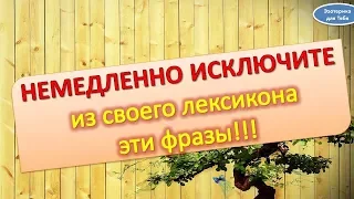 Выбросьте из своего лексикона эти слова и понаблюдайте как меняется ваша жизнь