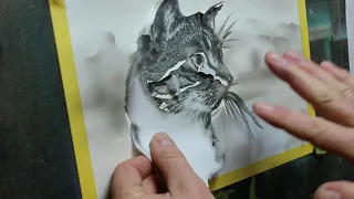 How to airbrush. Cat . Pet Portrait. Indian Ink. Part 1.