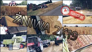 CLAAS MERCATOR & 2x -U-R-S-U-S-// ŻNIWA 2019