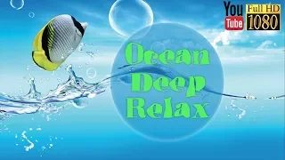 3 hours 🎵 396 Hz 639 Hz 963 Hz 🎵 Soft Lounge Music 🎵 Calming Ambient Melody for Daily Relax