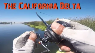 Punching at the California Delta - Kayak Bass Fishing