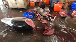How to cut the 200KG bluefin tuna / 黑鮪魚 切割秀 技術 經驗累積  / Taiwan fishport / 台湾魚の港 / 대만 생선 항구