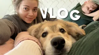 Familienzuwachs.. - VLOG