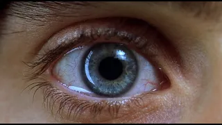 Requiem for a Dream (2000) by Darren Aronofsky, Clip: Harry and Marion both takes drugs...