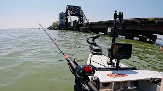 Catfishing for Money - Sandusky Bay Ohio