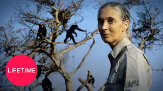 Herstory: Kristin Davis on Jane Goodall | Lifetime